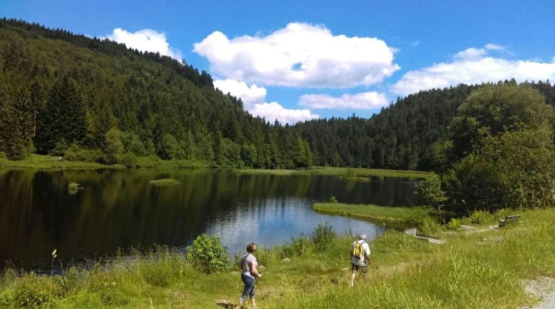 דירות ג'רארדמר La Perle Au Bord De La Riviere מראה חיצוני תמונה